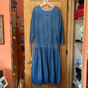 Hanna Andersson Blue Denim Dress
